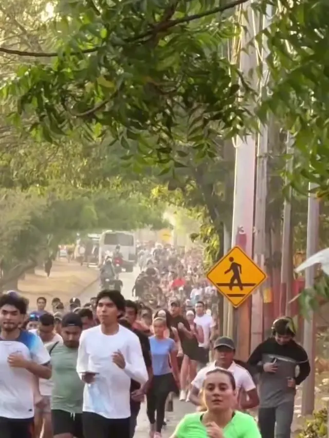 Pelotón de corredores en una calle con árboles